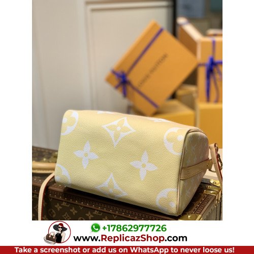 Louis Vuitton Speedy - Image 5