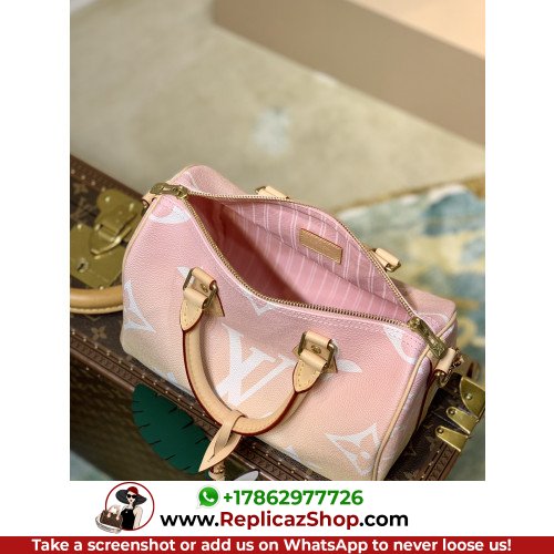 Louis Vuitton Speedy - Image 7