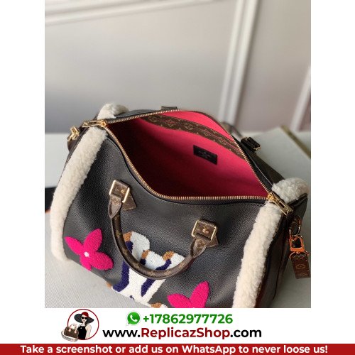 Louis Vuitton Speedy - Image 3