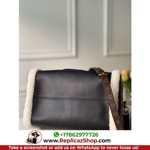 Louis Vuitton Speedy - Image 5