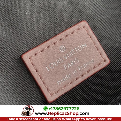 Louis Vuitton Backpack - Image 4