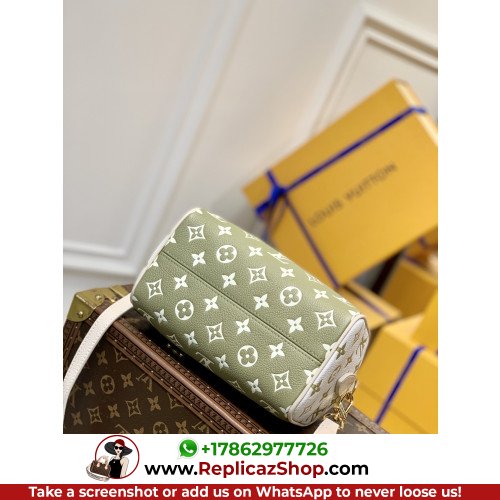 Louis Vuitton Speedy - Image 3