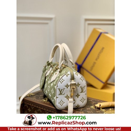 Louis Vuitton Speedy - Image 5