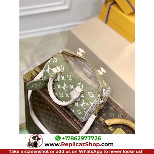 Louis Vuitton Speedy - Image 8