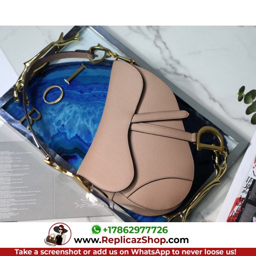 Dior Saddle - Image 5