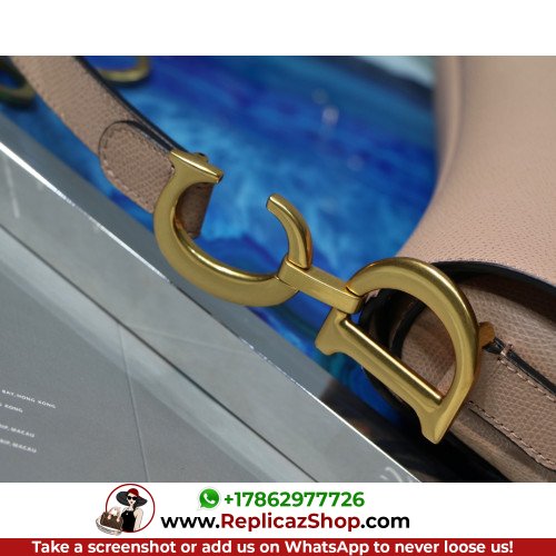 Dior Saddle - Image 6