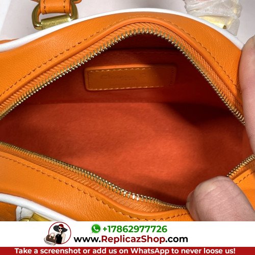 Dior Oblique - Image 5