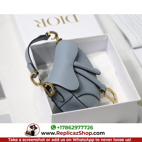 Dior Saddle - Image 5