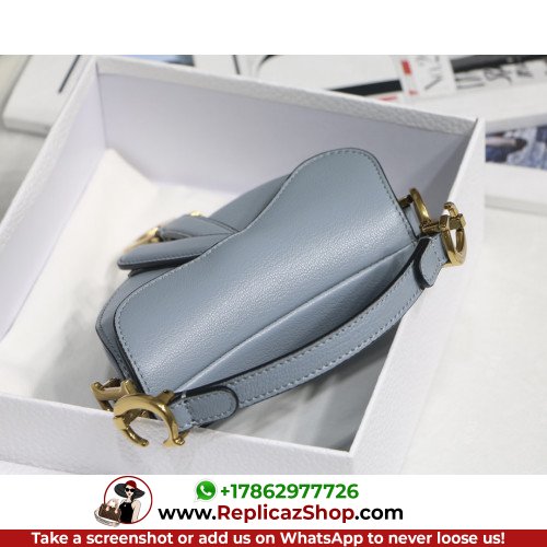Dior Saddle - Image 7