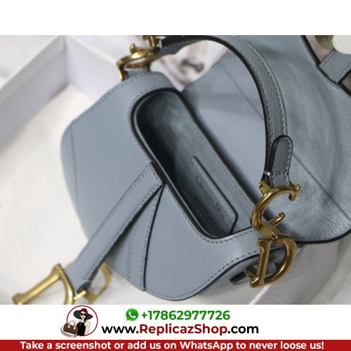 Dior Saddle - Image 8