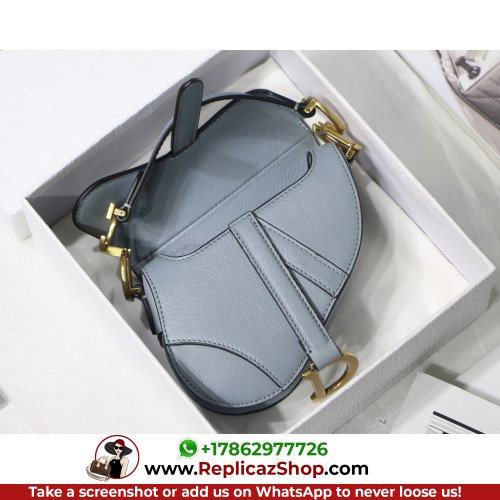 Dior Saddle - Image 10