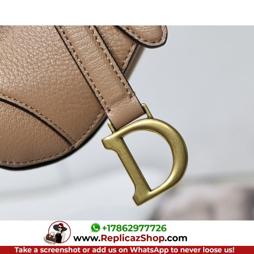 Dior Saddle - Image 6