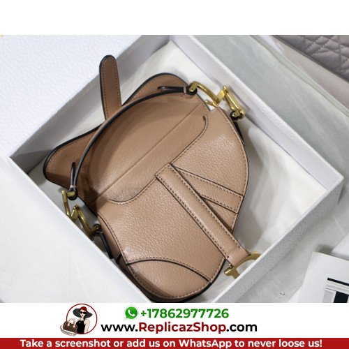 Dior Saddle - Image 8