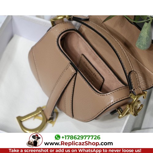 Dior Saddle - Image 9