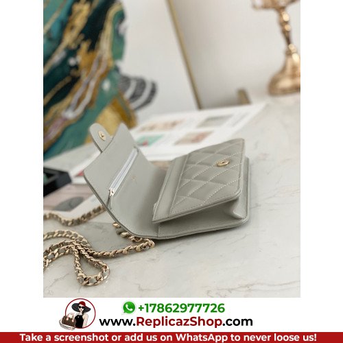 Chanel WOC - Image 9