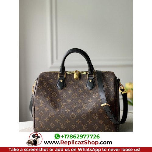 Louis Vuitton Speedy