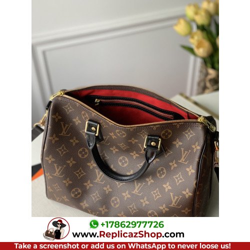Louis Vuitton Speedy - Image 6