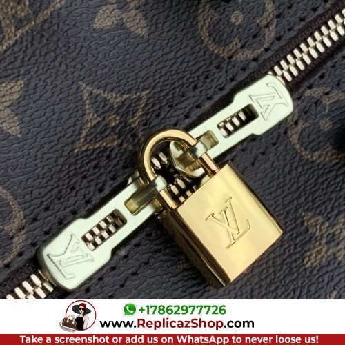 Louis Vuitton Speedy - Image 8