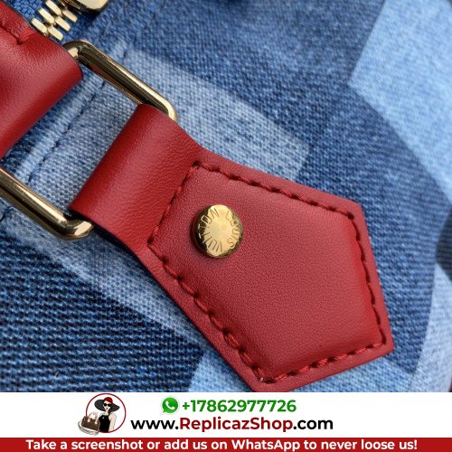 Louis Vuitton Speedy - Image 6