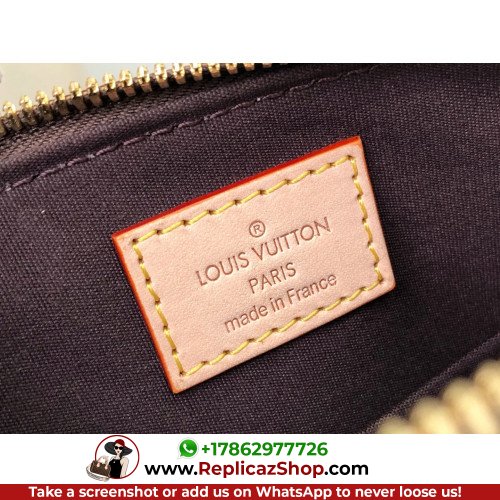 Louis Vuitton Alma - Image 4