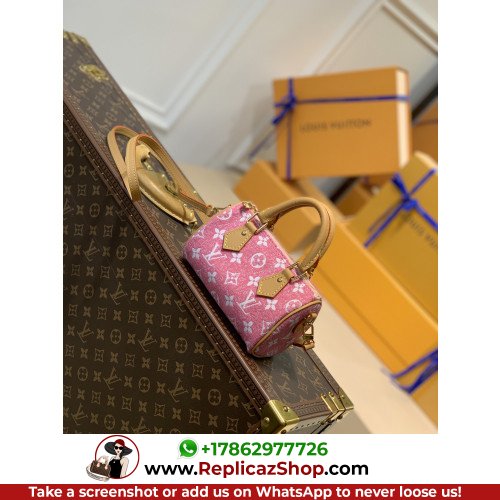 Louis Vuitton Speedy - Image 8