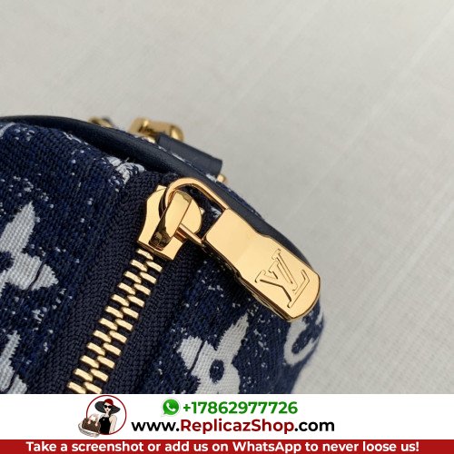 Louis Vuitton Speedy - Image 6