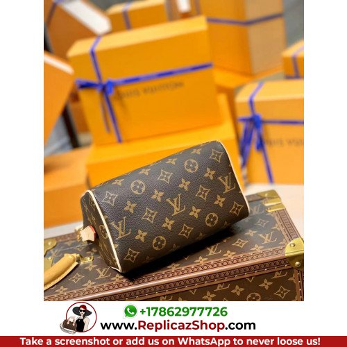 Louis Vuitton Speedy - Image 4