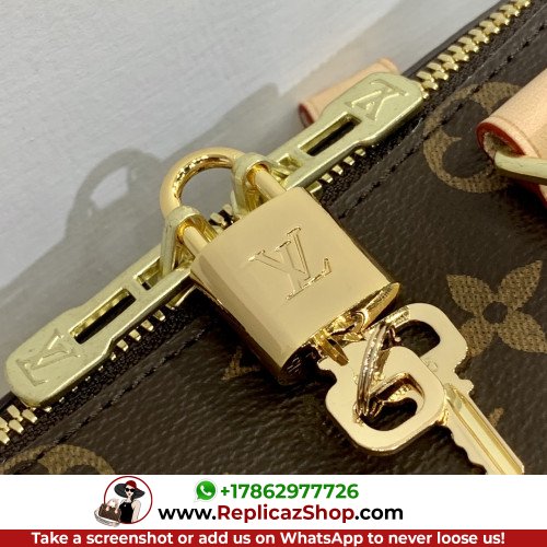 Louis Vuitton Speedy - Image 9