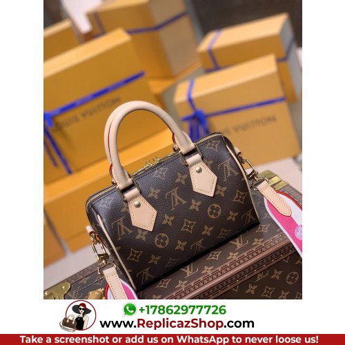 Louis Vuitton Speedy - Image 8
