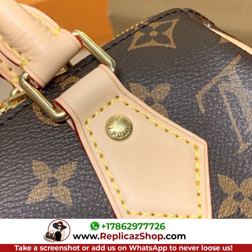 Louis Vuitton Speedy - Image 9