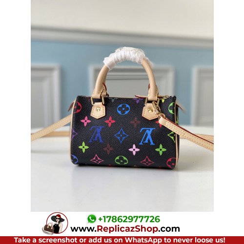 Louis Vuitton Speedy