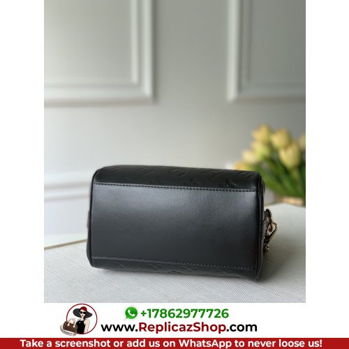 Louis Vuitton Speedy - Image 3