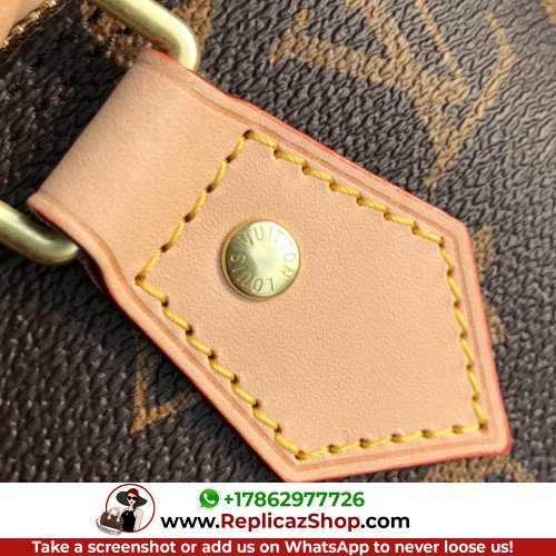 Louis Vuitton Alma - Image 4