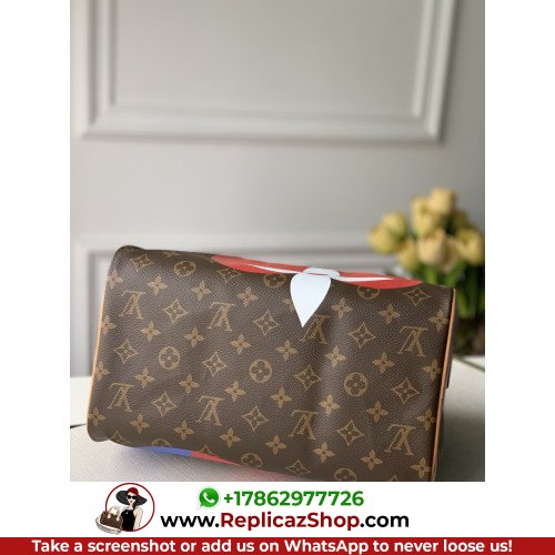 Louis Vuitton Speedy - Image 9