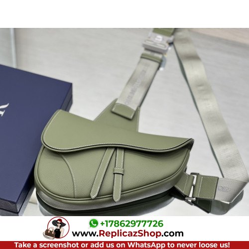 Dior Saddle