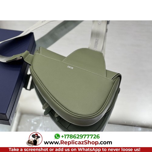 Dior Saddle - Image 4