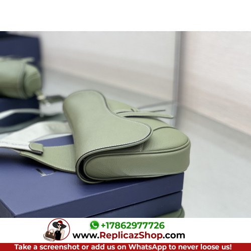 Dior Saddle - Image 6