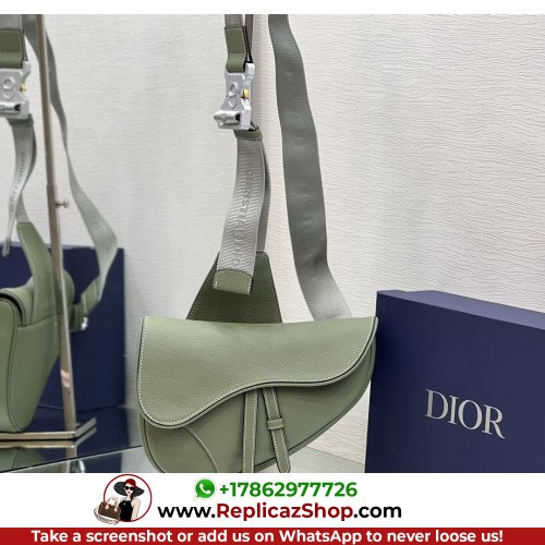 Dior Saddle - Image 10