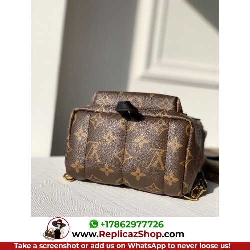 Louis Vuitton Backpack - Image 2