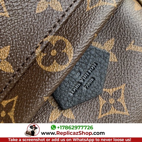 Louis Vuitton Backpack - Image 4