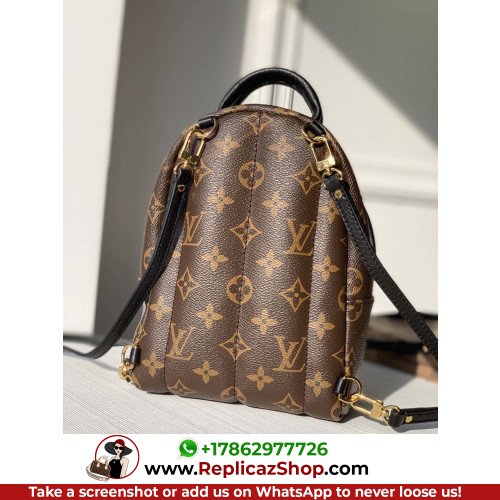 Louis Vuitton Backpack - Image 6