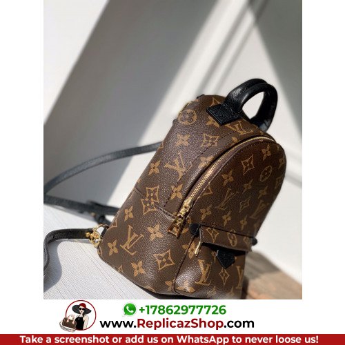 Louis Vuitton Backpack - Image 8
