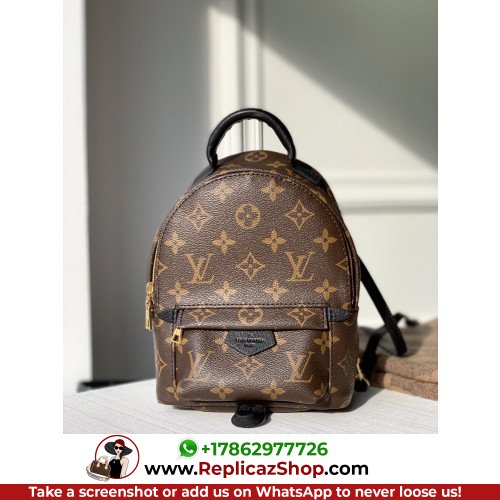 Louis Vuitton Backpack