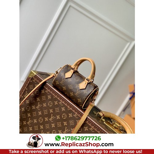Louis Vuitton Speedy - Image 3