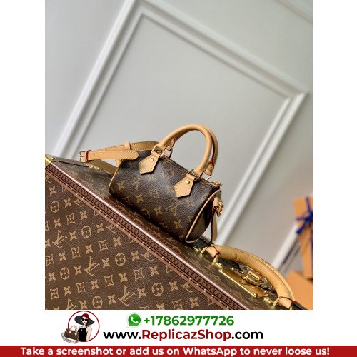 Louis Vuitton Speedy