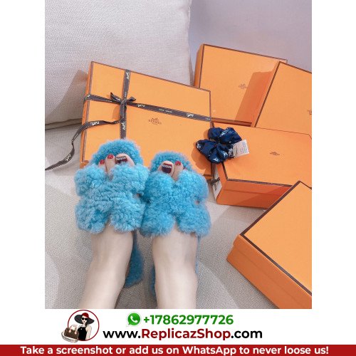 Hermes Slides - Image 8