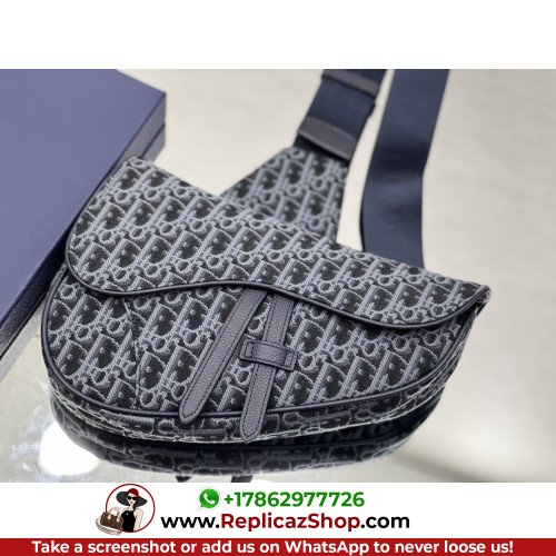 Dior Saddle - Image 3