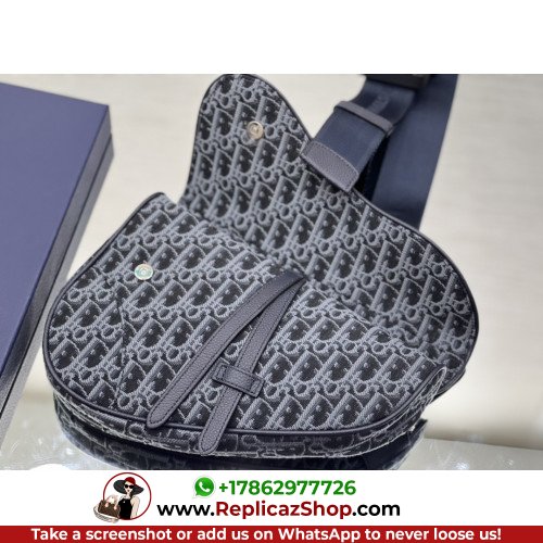 Dior Saddle - Image 6