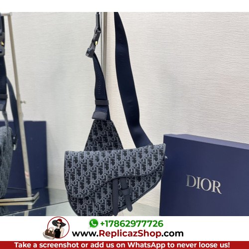 Dior Saddle