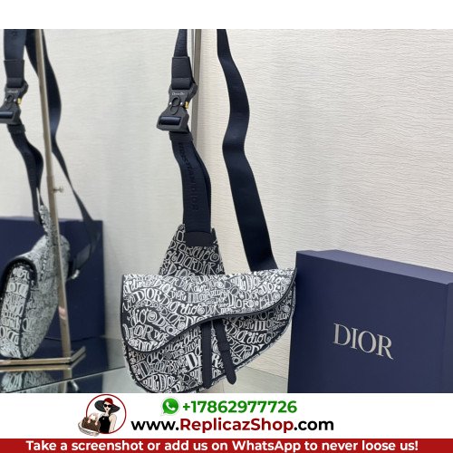 Dior Saddle